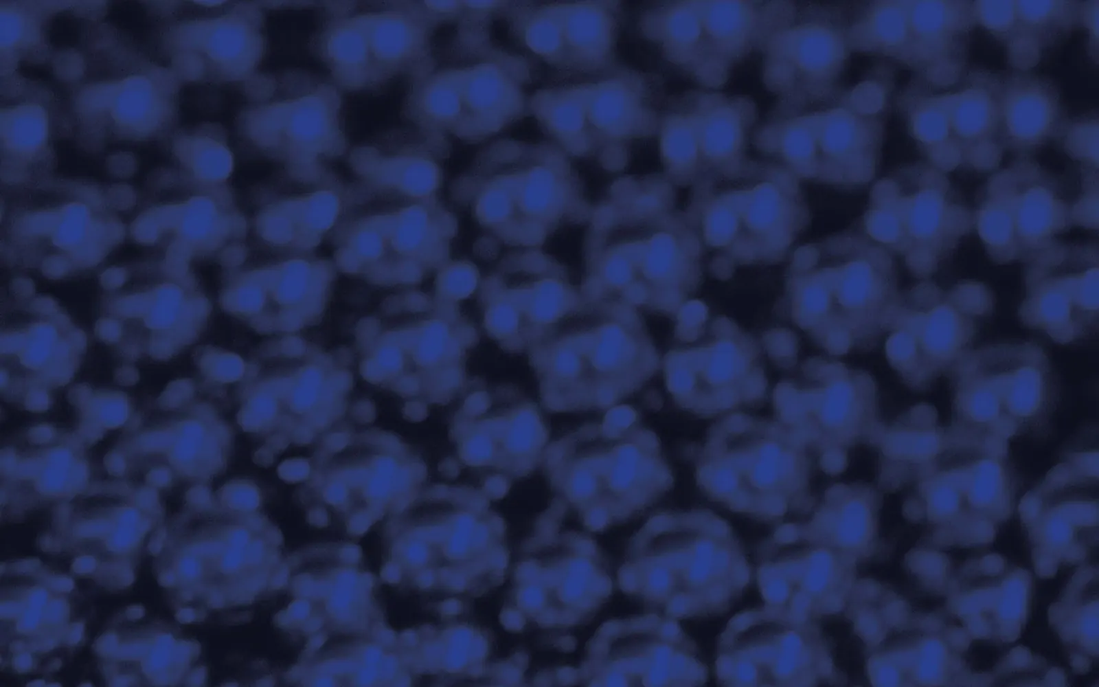 Ruedas para hornos (fotografía en azul del catálogo)